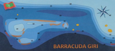 Barracuda Giri